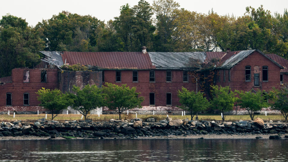 White markers flag burial sites at the potter's field on Hart Island, showing the shoreline in the foreground.