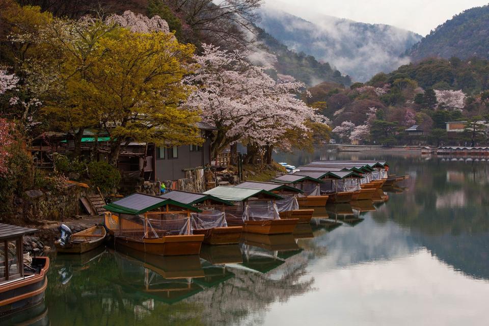 <p>The cherry blossoms are in bloom along the Katsura River in Japan // April 03, 2014</p>