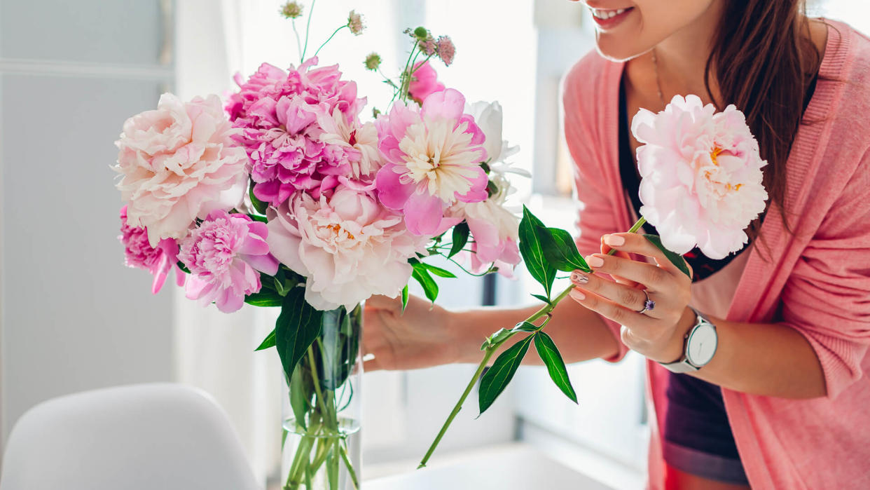 Woman puts pink peonies flowers in vase.