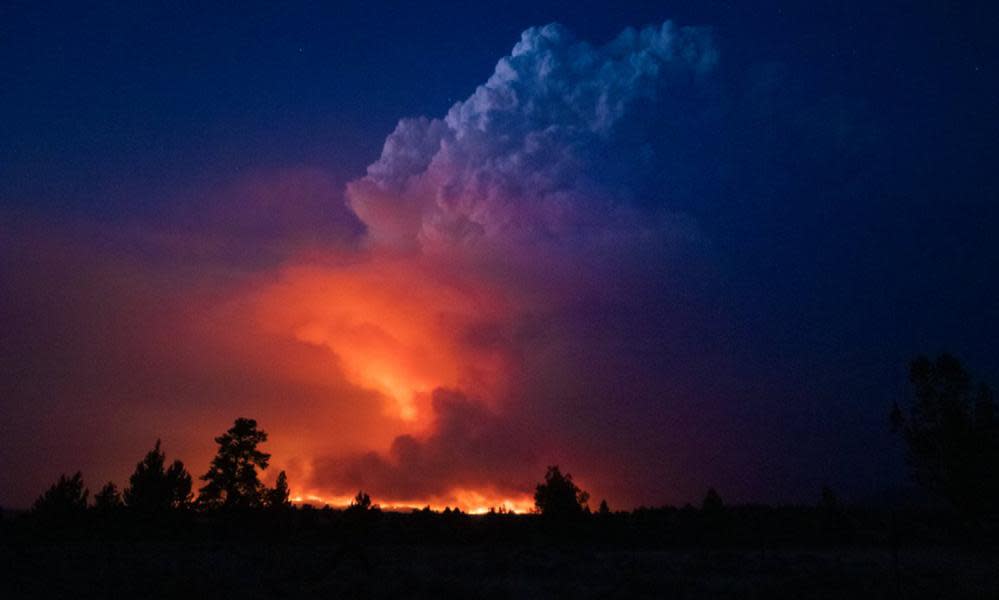 <span>Photograph: John Hendricks/AP</span>