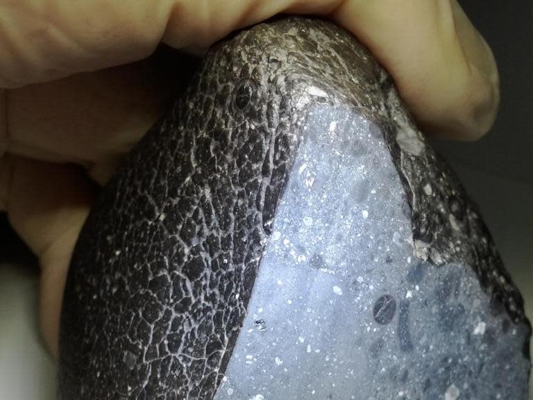 Ancient meteorite found in Sahara desert reveals history of Mars