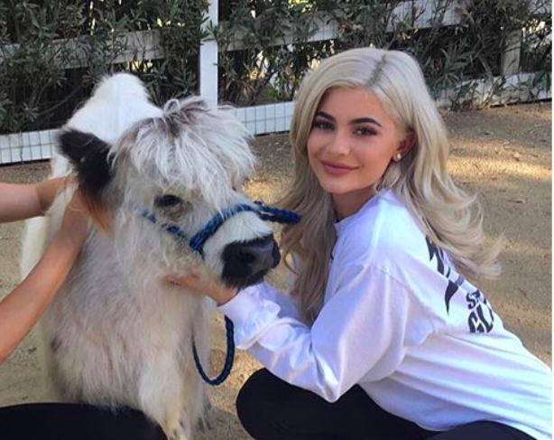 Kylie Jenner once said she can’t wait to ditch social media and just raise her kids on a farm, and girl, do you