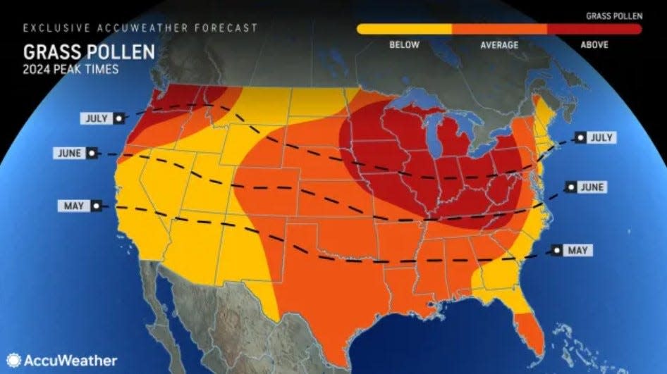 The grass pollen season peaks in July in Southern New England and is expected to be below normal.