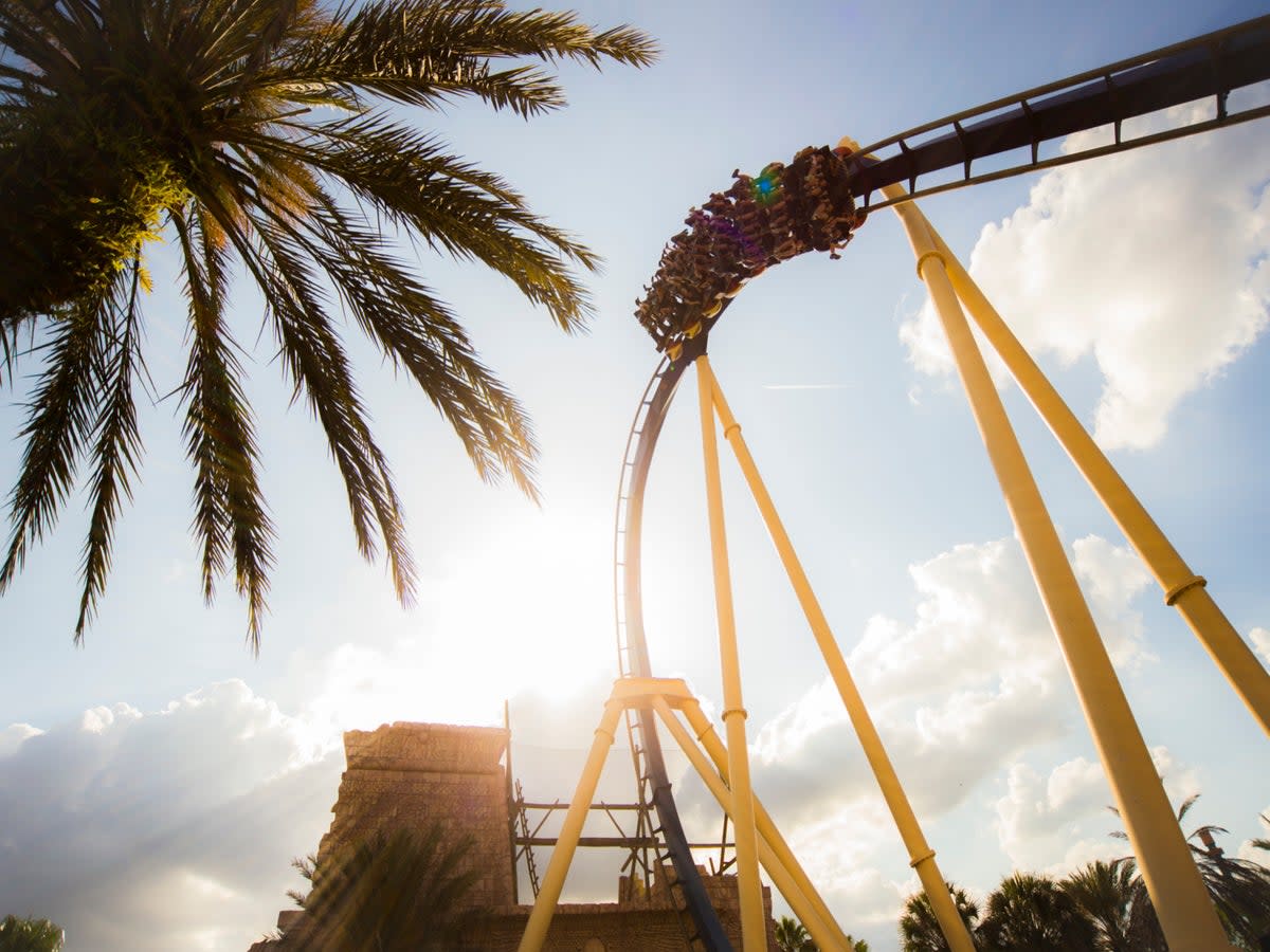 The Montu roller coaster at Busch Gardens has seven inversions  (Busch Gardens)