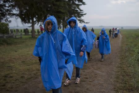 Migrants walk on a field, after they crossed the border with Serbia, near Tovarnik, Croatia September 24, 2015. REUTERS/Marko Djurica