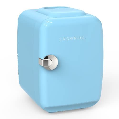 10) Portable Cooler and Warmer Personal Fridge