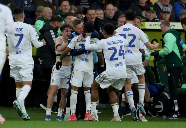 Championship table: Latest league standings - Leeds win, Norwich to play, Football, Sport