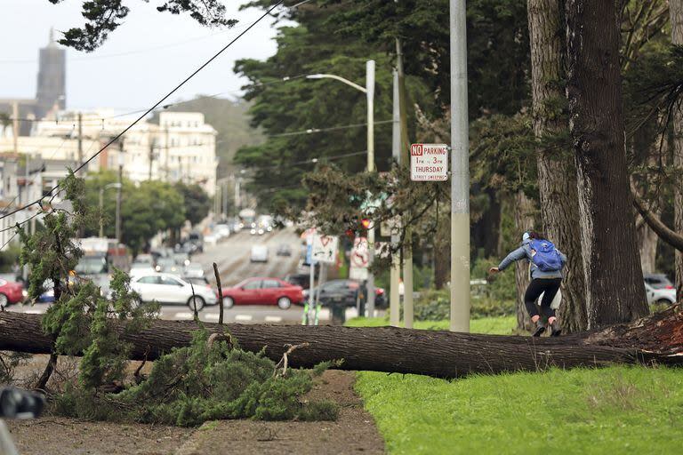 Un peatón sube sobre un árbol derribado que estaba bloqueando los cuatro carriles de la calle Fulton en la avenida 15 en San Francisco
(Scott Strazzante/San Francisco Chronicle via AP)