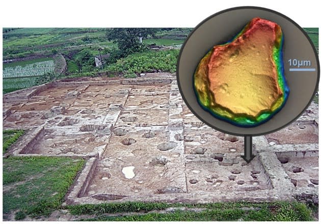 A phytolith (inset) and the Shangshan site where it was discovered (PNAS)