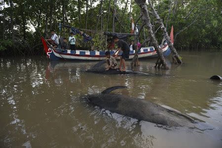 Children stand on a dead whale stranded on the coast of Pesisir beach in Probolinggo, Indonesia, June 16, 2016. Antara Foto/Zabur Karuru/via REUTERS