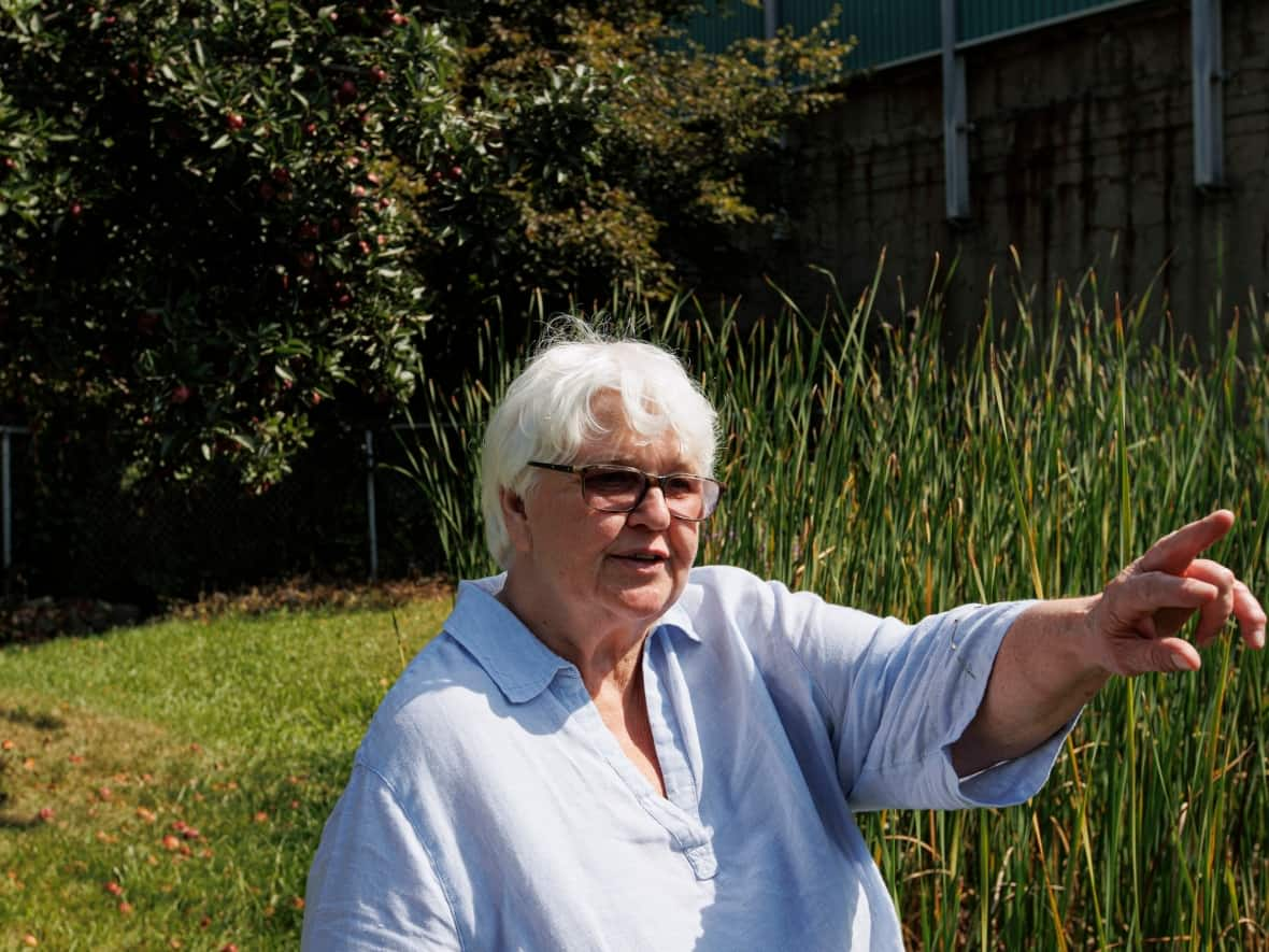 Helen Mills has been tracking, finding and sharing the lost creeks and rivers in Toronto for decades. (Evan Mitsui/CBC - image credit)