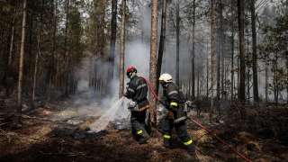 French firefighters spray water to put out lingering hot spots left by a wildfire near Belin-Beliet, southwestern France, on August 13, 2022. (Photo by Thibaud MORITZ / AFP) / “The erroneous mention appearing in the metadata of this photo by Thibaud MORITZ has been modified in AFP systems in the following manner: [Belin-Beliet] instead of [Belin-Belitet]. Please immediately remove the erroneous mention[s] from all your online services and delete it  from your servers. If you have been authorized by AFP to distribute it to third parties, please ensure that the same actions are carried out by them. Failure to promptly comply with these instructions will entail liability on your part for any continued or post notification usage. Therefore we thank you very much for all your attention and prompt action. We are sorry for the inconvenience this notification may cause and remain at your disposal for any further information you may require.”