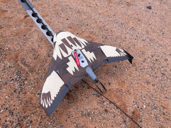 The camouflaged UAV, designed to look like a juvenile eagle.