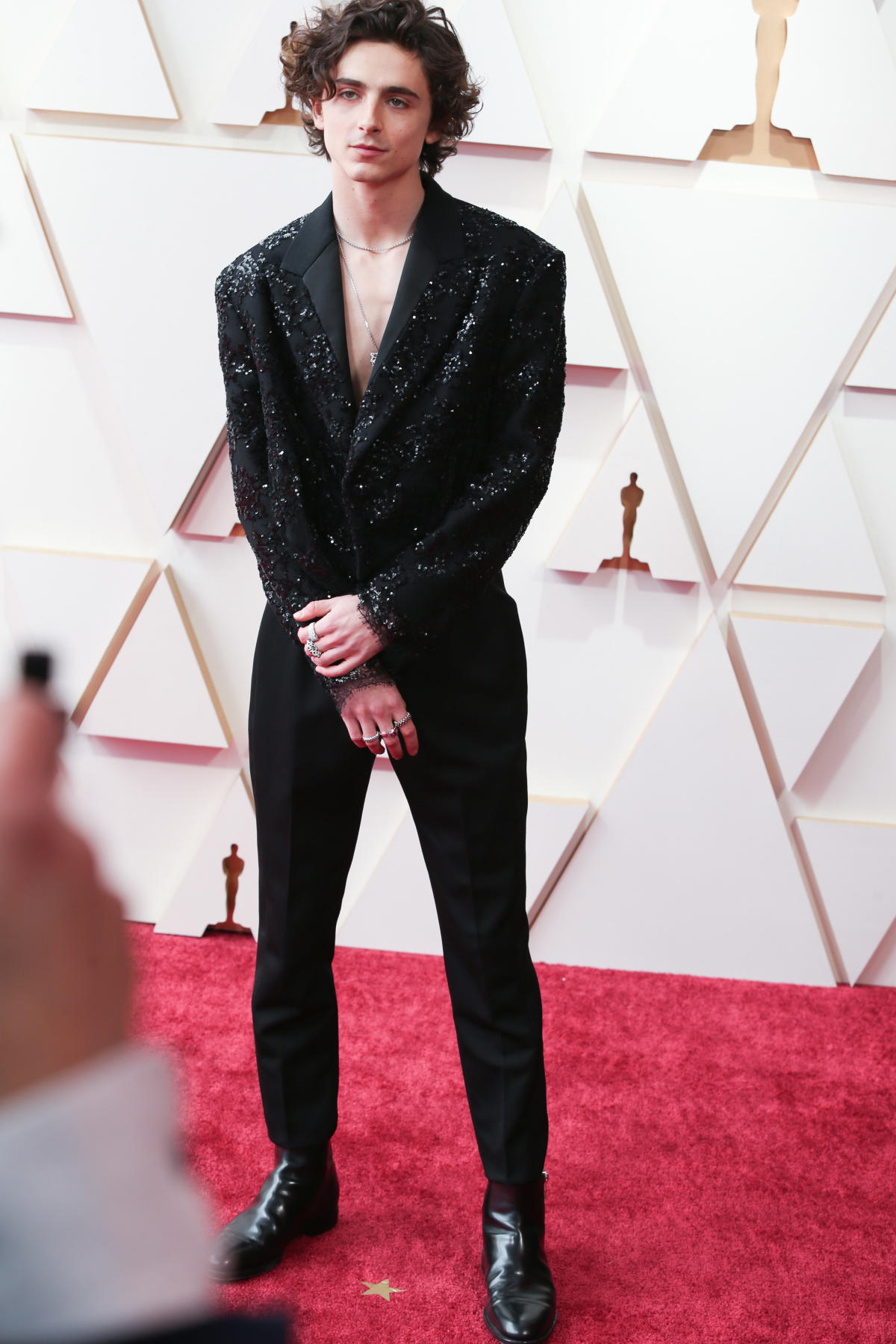 Timothee Chalamet's Best Red Carpet Fashion: Pics