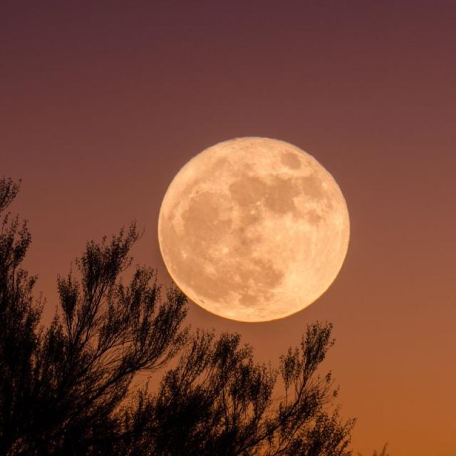 August Sturgeon Full Moon All About The Lunar Phenomenon’s Effect On