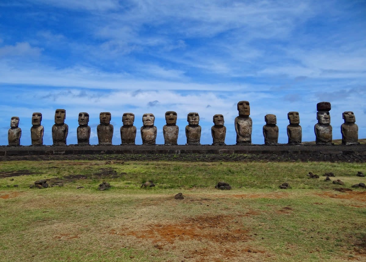 For hundreds of years, the sculpting of giant ancestor stone statues was central to Easter Island’s civilisation. The largest statue in this photograph is 9 metres tall and weighs 86 tonnes (Wikimedia Commons)