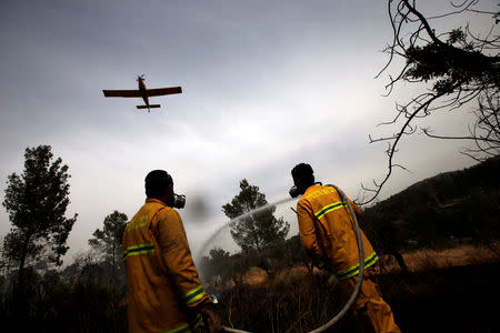 A firefighting aircraft flies over a forest as firefighters put out a fire near Kibbutz Harel, which was damaged by wildfires during a record heatwave, in Israel May 24, 2019. REUTERS/Ronen Zvulun