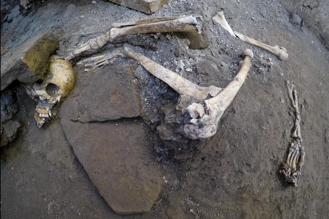 The remains of skeletons that were found in the Pompeii archaeological site, Italy (ANSA via AP)