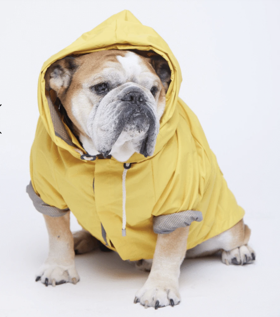 gifts-for-dog-lovers-Max + Bone Talon Yellow Raincoat