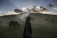 <p>Tibetan nomads face many challenges to their traditional way of life including political pressures, forced resettlement by China’s government, climate change and rapid modernisation. (Kevin Frayer/SWPA) </p>