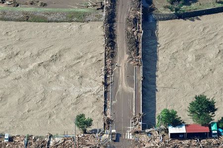 Driftwoods caused by a flood triggered by Typhoon Lionrock are scattered in Iwaizumi town, Iwate prefecture, Japan, in this photo taken by Kyodo August 31, 2016. Mandatory credit Kyodo/via REUTERS