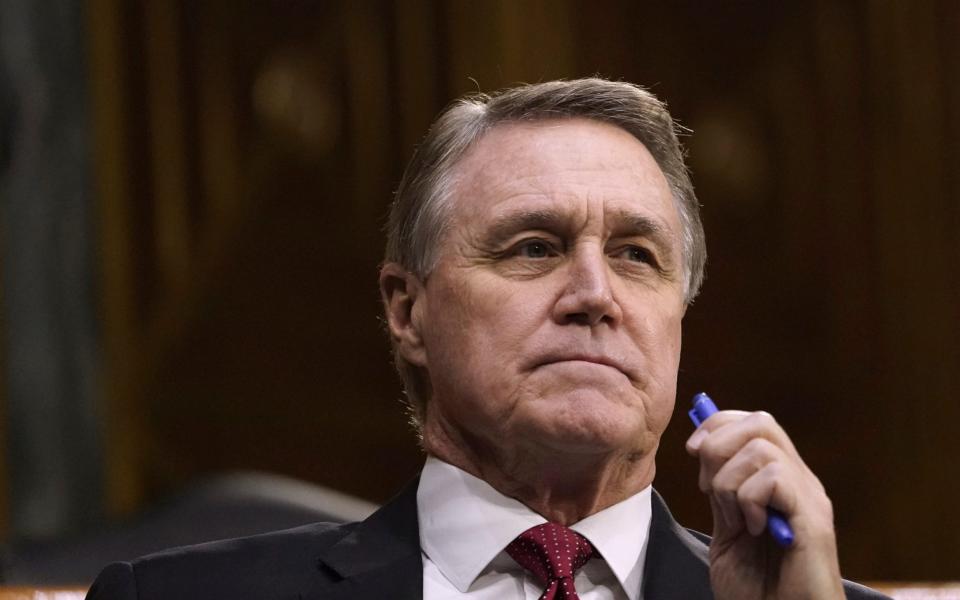 Sen. David Perdue - Getty