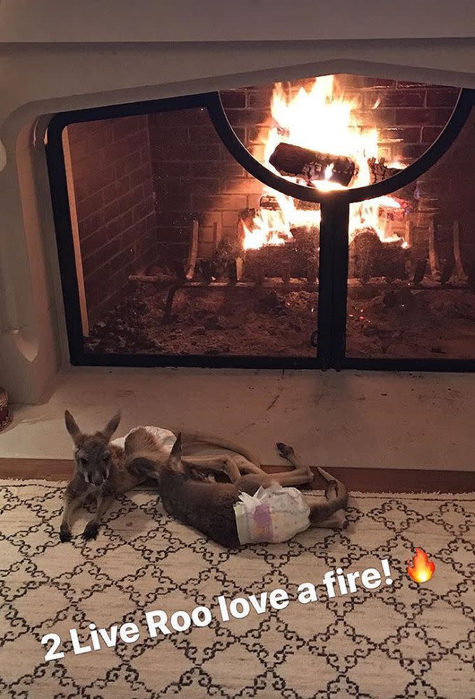 Luke Bryan Gifts Wife Baby Kangaroos for Christmas