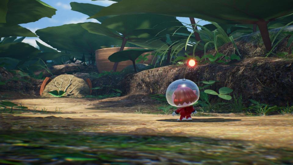 Explorer in the garden in Pikmin 4