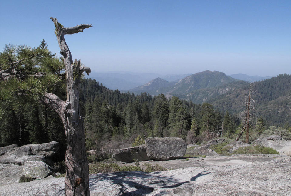 In this May 11, 2012 photo, the view from Beetle Rock in Sequoia National Park, Calif., is seen. A big city problem has settled in a big way in Sequoia Kings Canyon National Park, home of the giant Sequoias. Smog from the neighboring Central Valley is making it tougher for seedlings from the giants to take hold, and the needles of surrounding Jeffrey and Ponderosa pines are yellowing. (AP Photo/Tracie Cone)