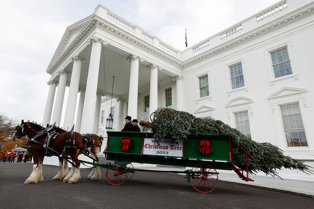 <p>Anna Moneymaker/Getty</p> The official 2023 White House Christmas tree arrives at the White House on Nov. 20, 2023