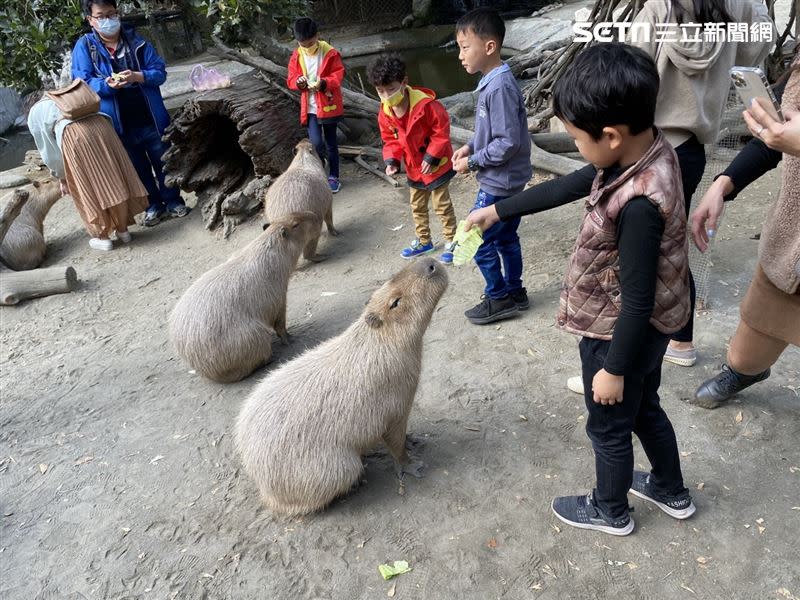 頑皮世界春節7天不打烊。（圖／頑皮世界提供）