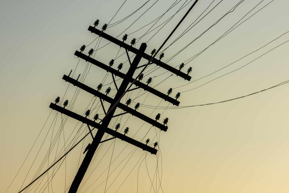 <p>Alamy</p> Stock image of a fallen powerline