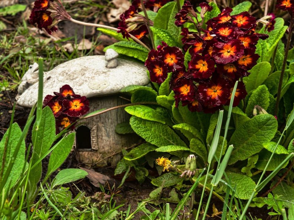 A small toad house in a suburban yard.