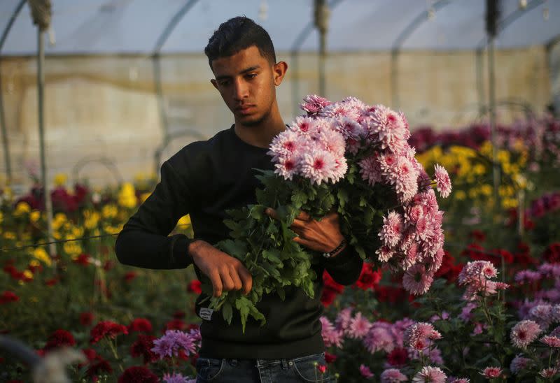 Gazans celebrate Valentine's Day despite growing hardship, and conflict in Khan Younis