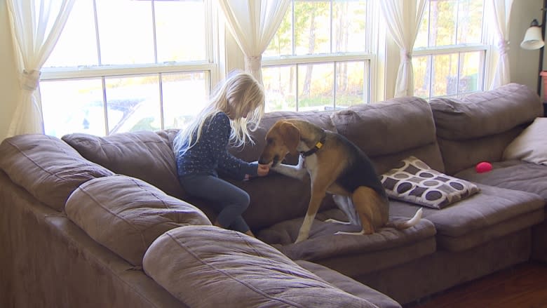 P.E.I. family gives neglected hounds a second chance