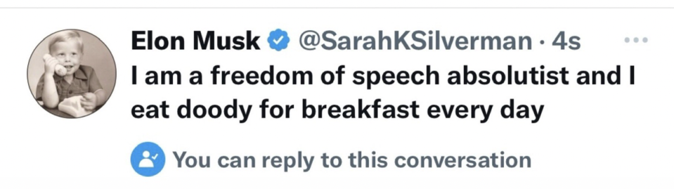 A screenshot of comedian Sarah Silverman's original tweet, sent when she had changed the display name on her verified Twitter account to "Elon Musk."