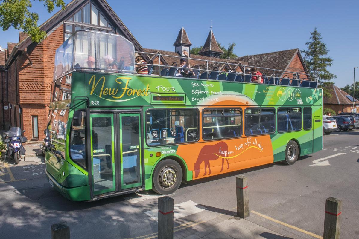 New Forest Tours bus <i>(Image: Supplied)</i>