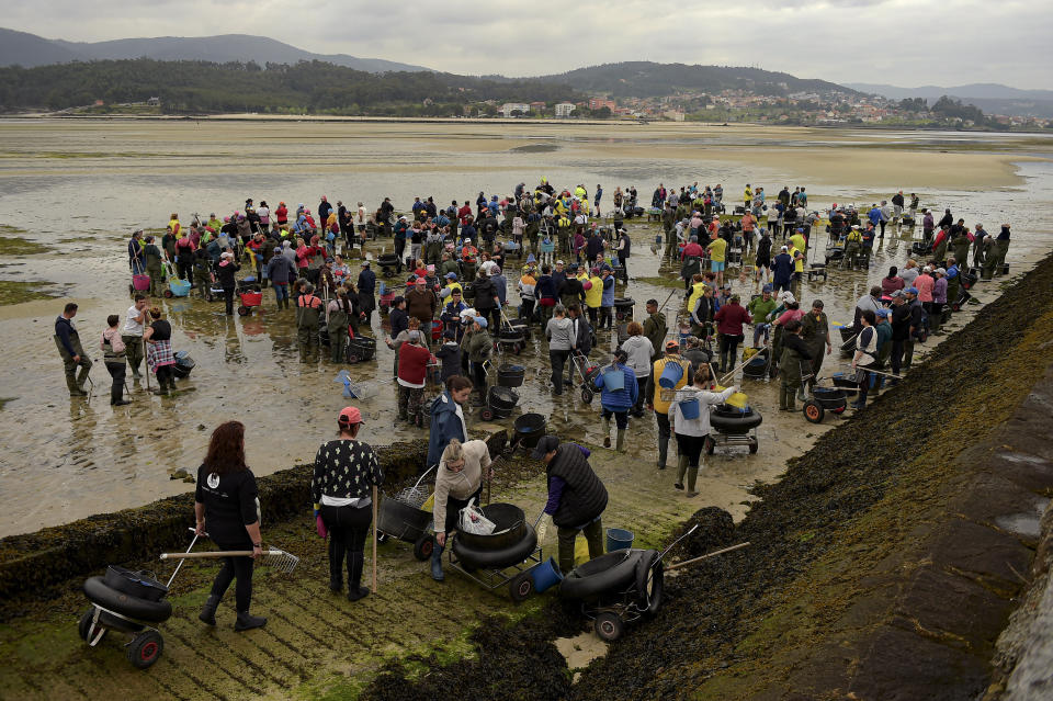 Clam diggers gather in the lower estuary of Lourizan, before starting their work day in Galicia, northern Spain, Thursday, April 20, 2023. They fan out in groups, mostly women, plodding in rain boots across the soggy wet sands of the inlet, making the most of the low tide. These are the clam diggers, or as they call themselves, "the peasant farmers of the sea." Clam collecting in the expansive inlets of Spain's northwestern region of Galicia is a deep-rooted tradition from time eternal and has been handed down from generation to generation. (AP Photo/Alvaro Barrientos)