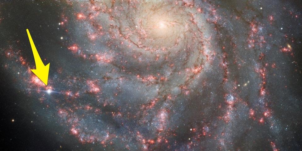 An annotated picture of the pinwheel galaxy highlights a bright supernova happening on one of the arms of the galaxy with an arrow.