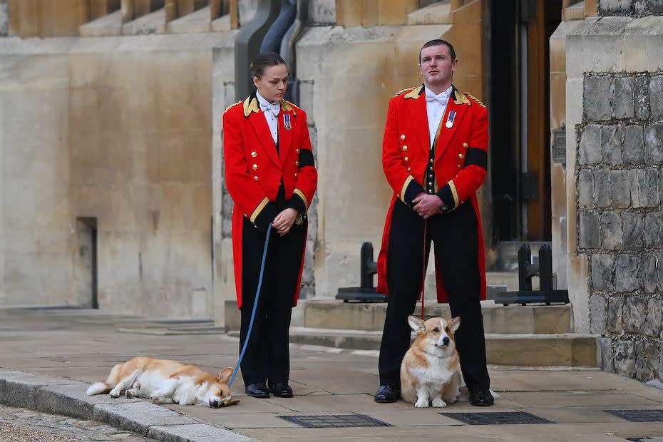 sarah ferguson thinks the queen's corgis can see her ghost