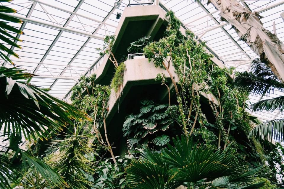 A plant filled atrium.