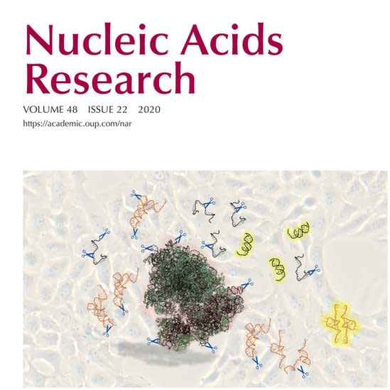 Tapa de la revista Nucleic Acids Research mostrando el trabajo de Tosar