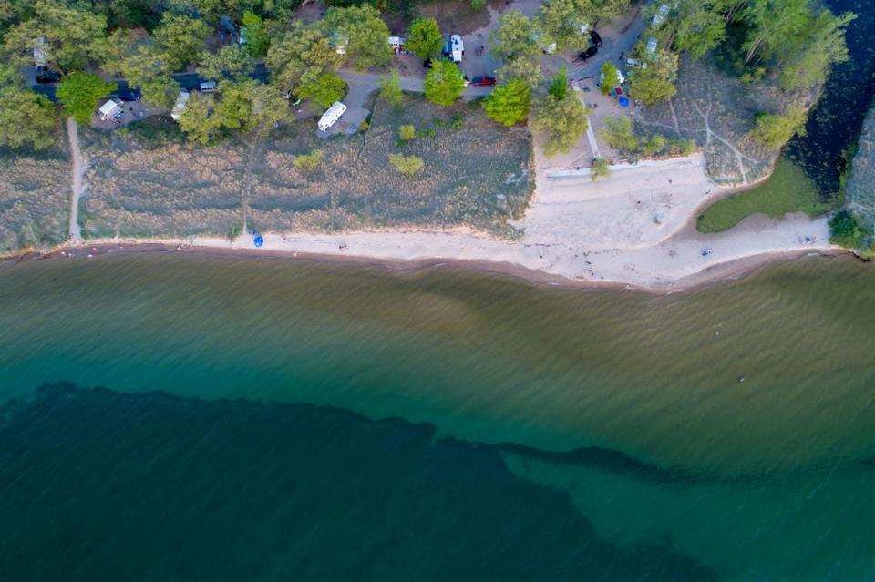 Port Crescent State Par in summer 2019.