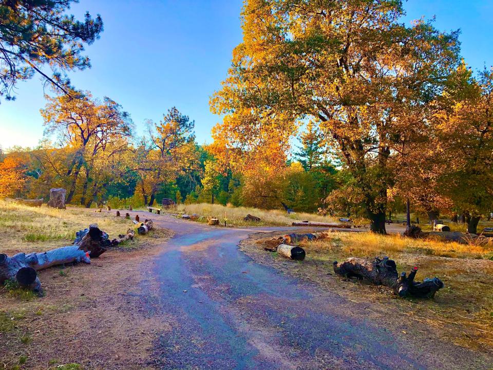 Forest road in Mount Laguna, California.