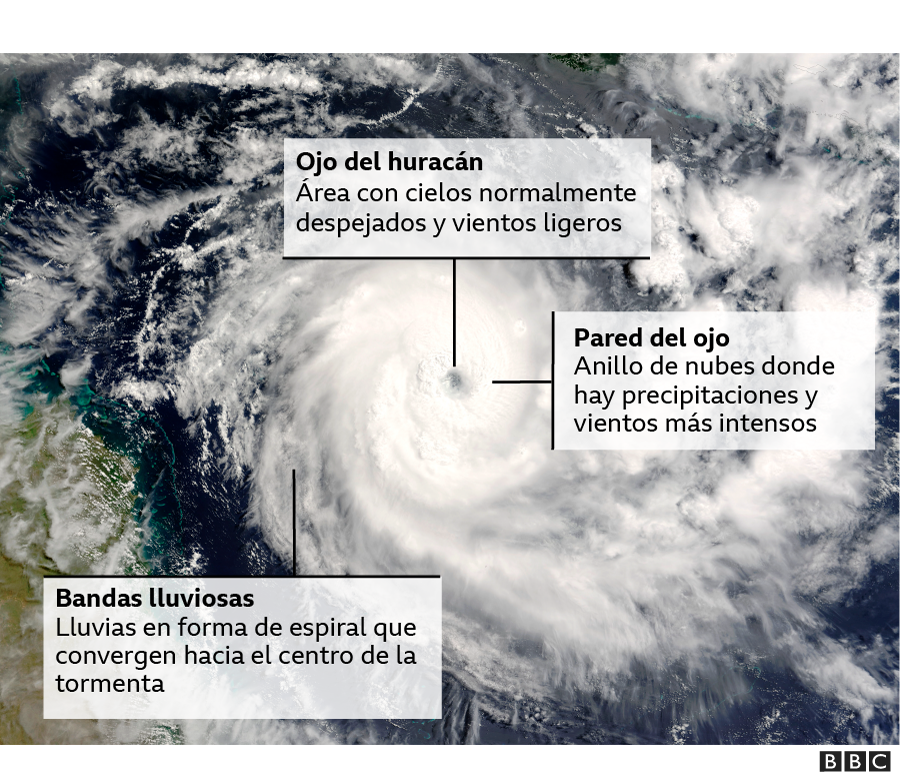 Gráfico que muestra las partes de un huracán 