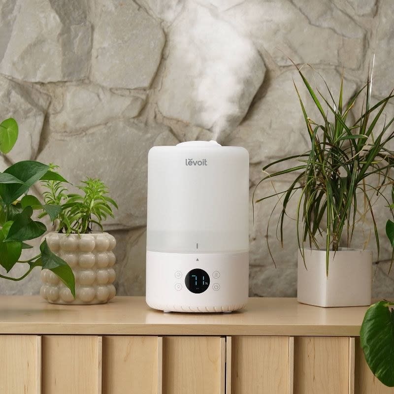 Levoit humidifier on a wooden shelf beside indoor plants, suitable for home use