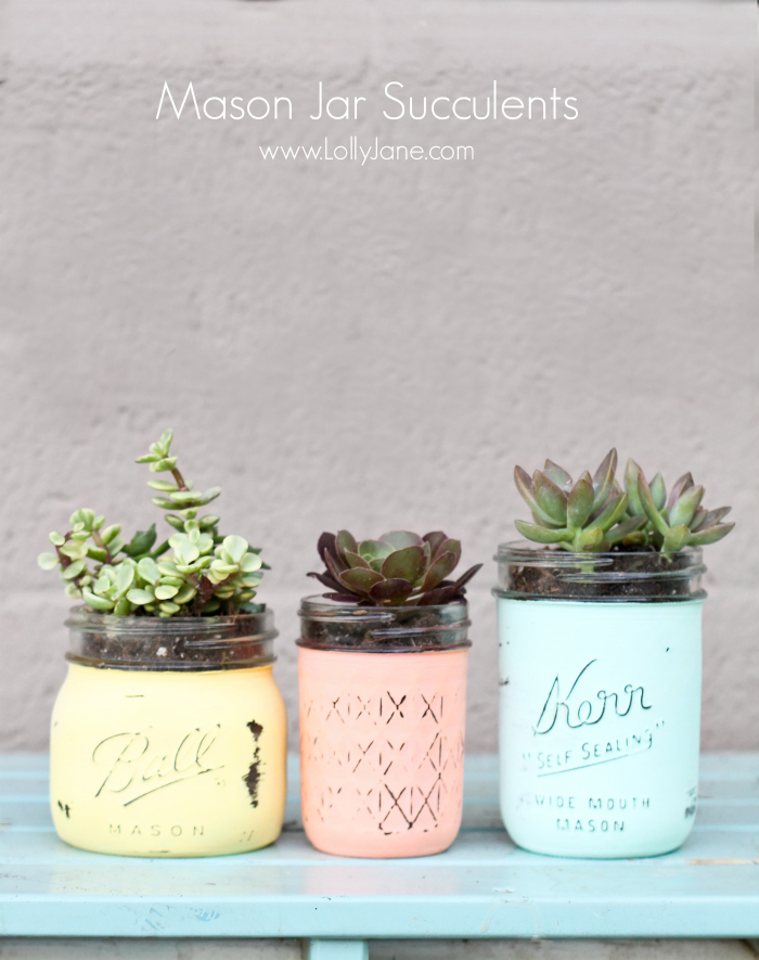 diy planters painted mason jar succulent planters