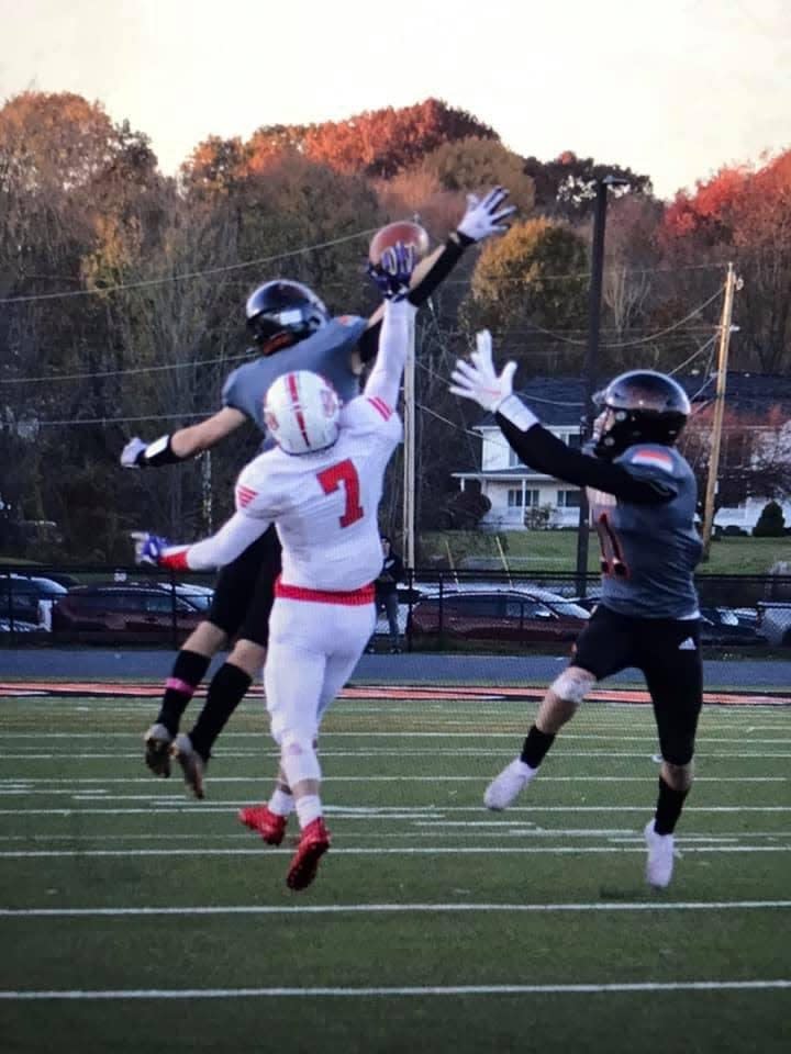 Red Hook's Gavin Cole makes a leaping one-handed catch during a Section 9 Class B semifinal against Marlboro on Saturday.