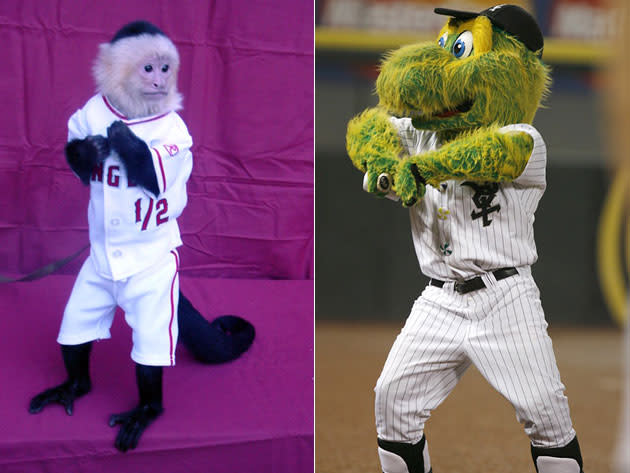 Vote for D-Jay as the Best Minor League Baseball Mascot!