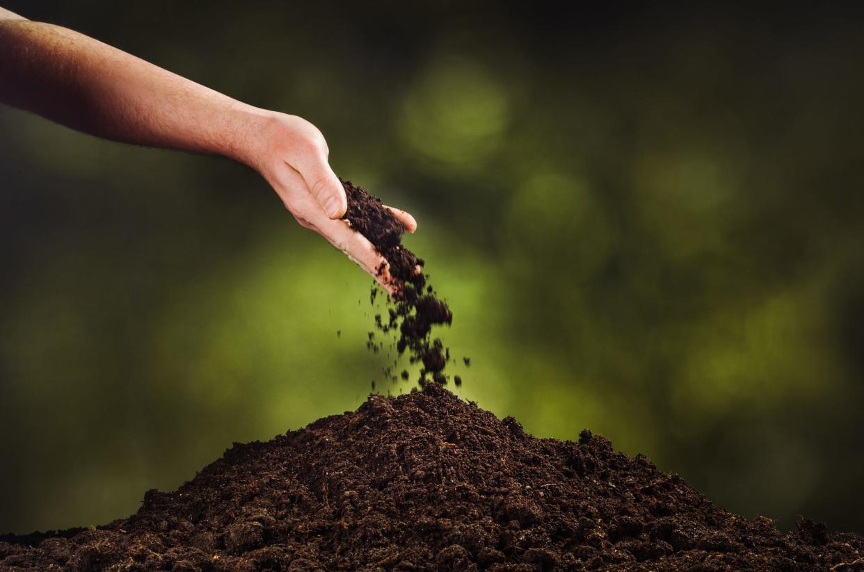 Green burials honor the concept of “dust to dust."